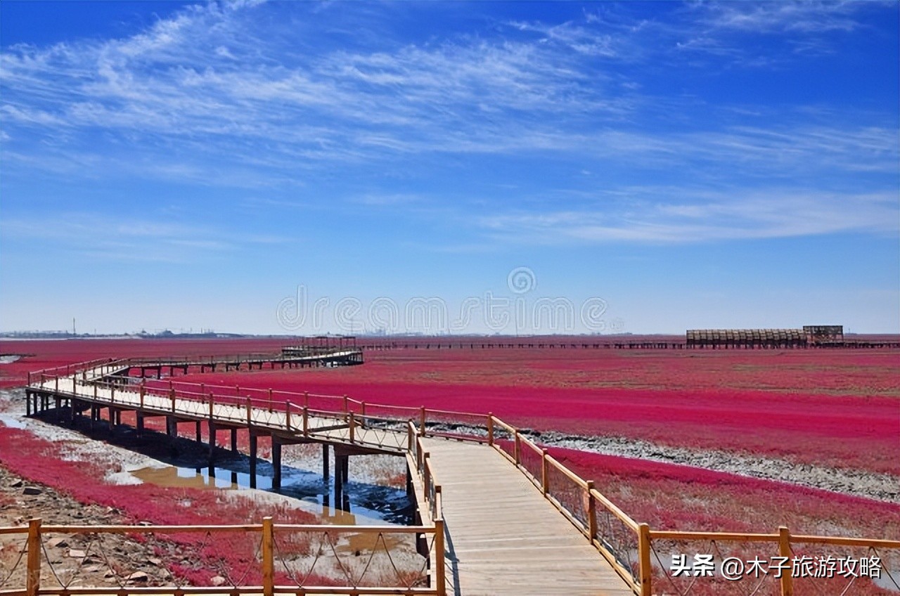 盘锦红海滩游玩攻略一日游,盘锦红海滩风景区游玩攻略