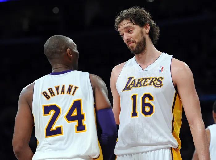 NBA历史长河中，做出重大贡献的20名国际球员！