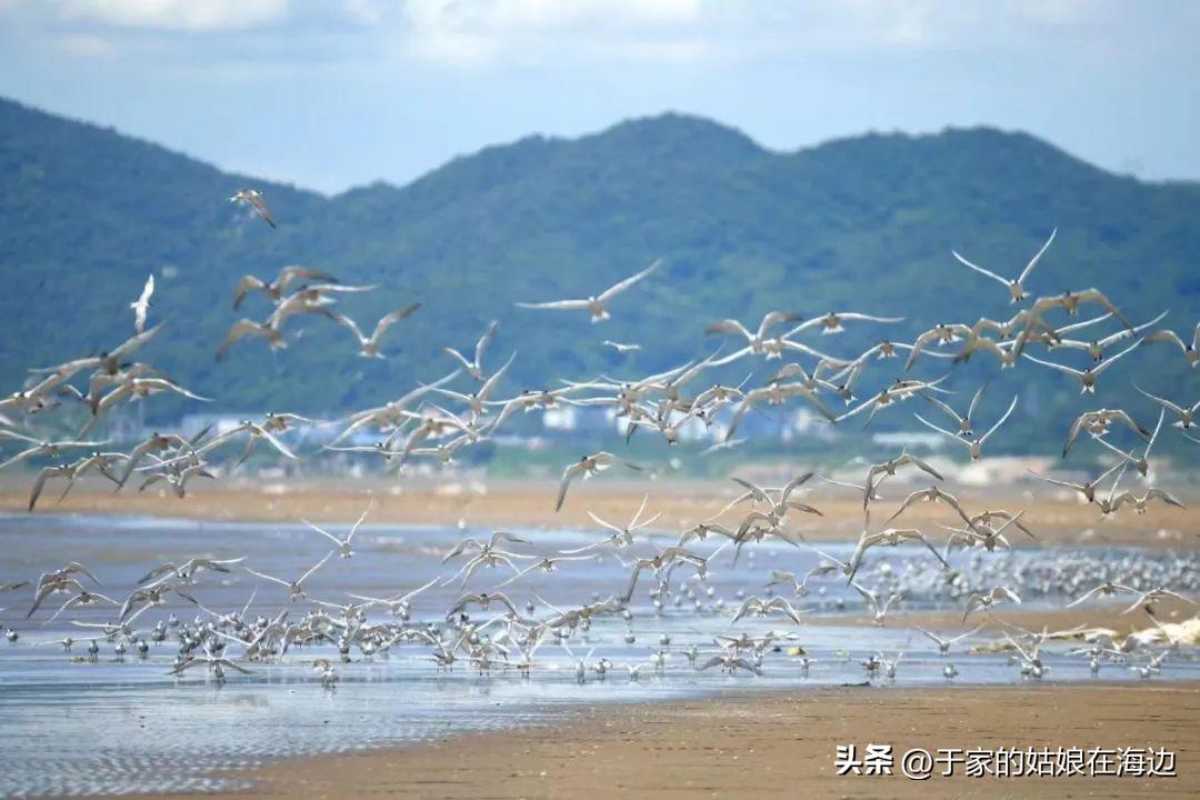 珠海海滩值得打卡的地方,珠海最美沙滩推荐