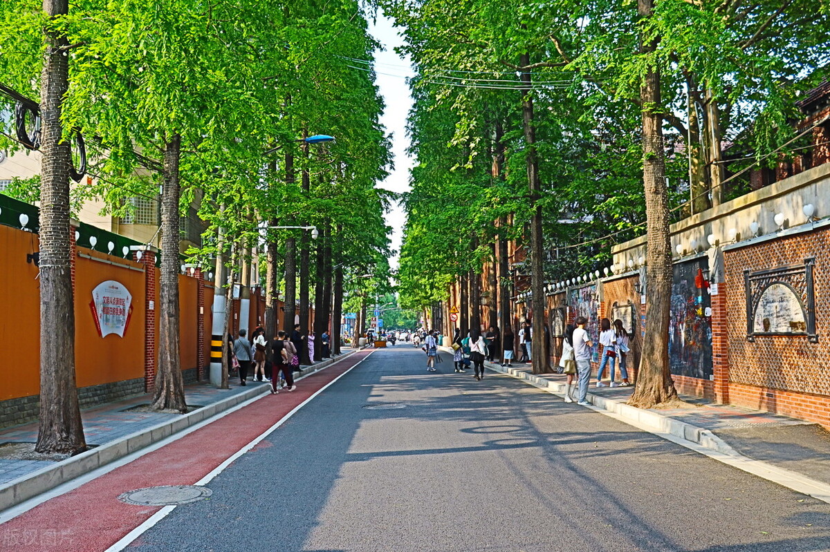 上海的夜景视频,上海夜景特色街排行榜