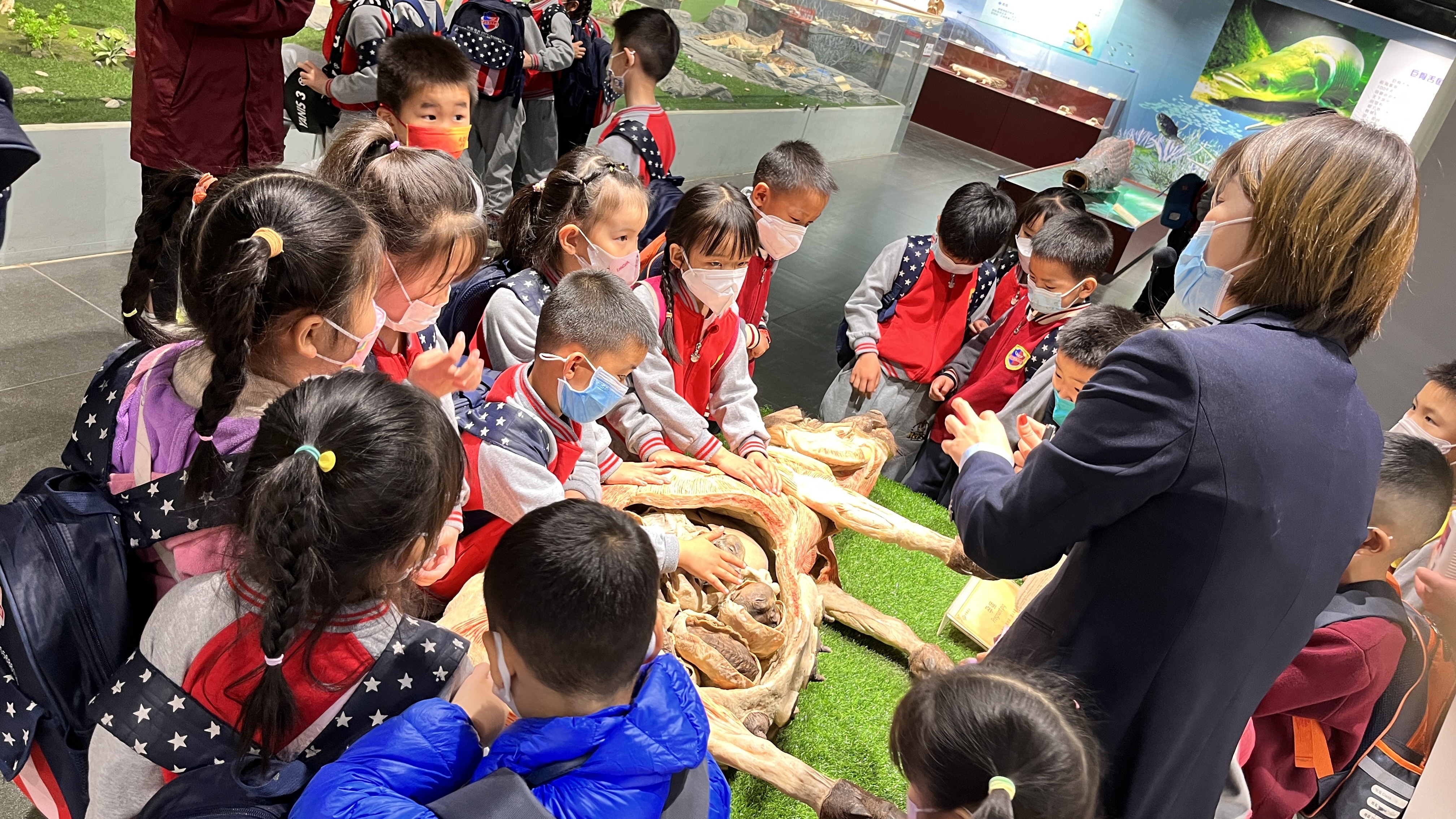 郑州赏花游玩推荐景点,郑州踏青旅游攻略