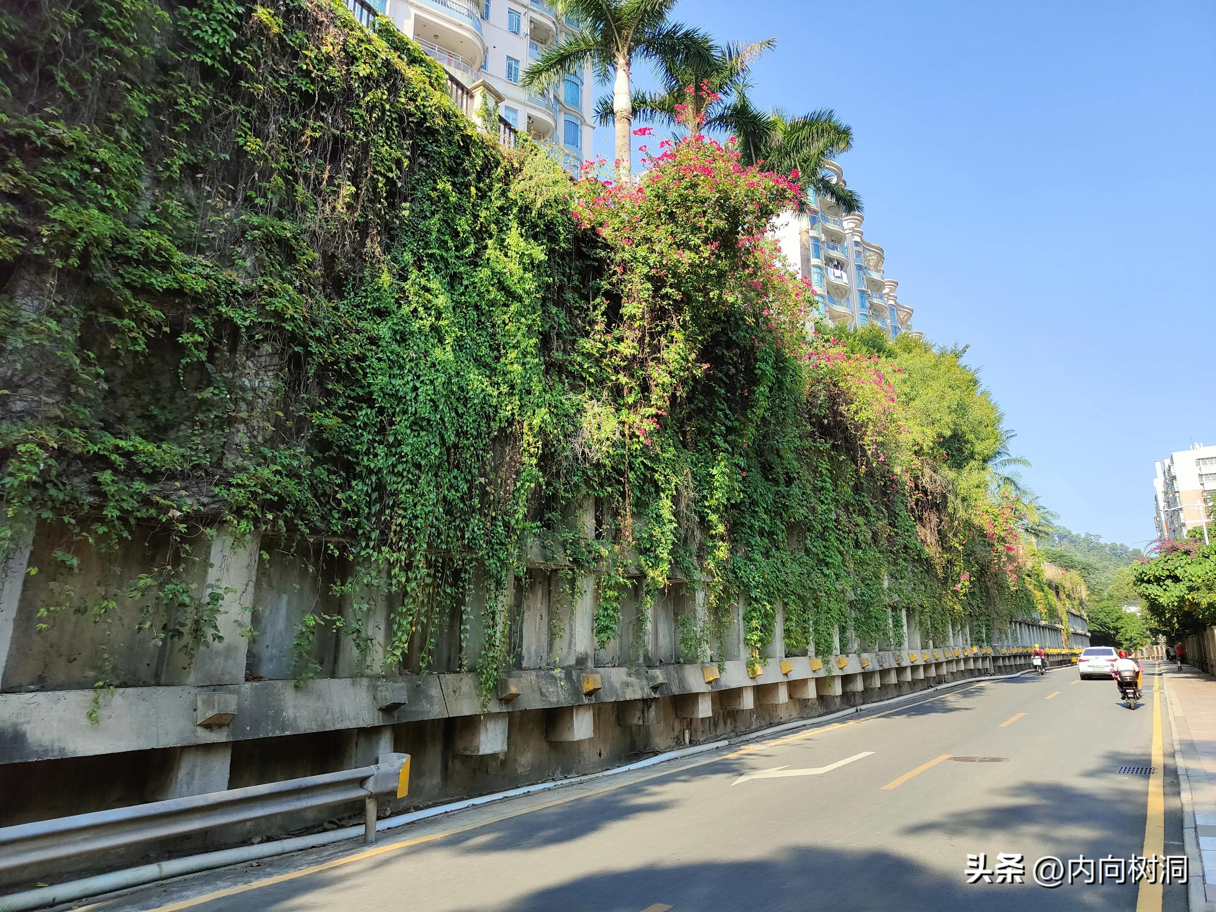 淘金山求水山徒步线路,求水山淘金山绿道在哪里