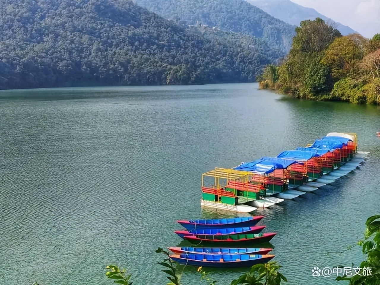 中尼友谊龙舟赛直播,龙舟国际比赛参赛队