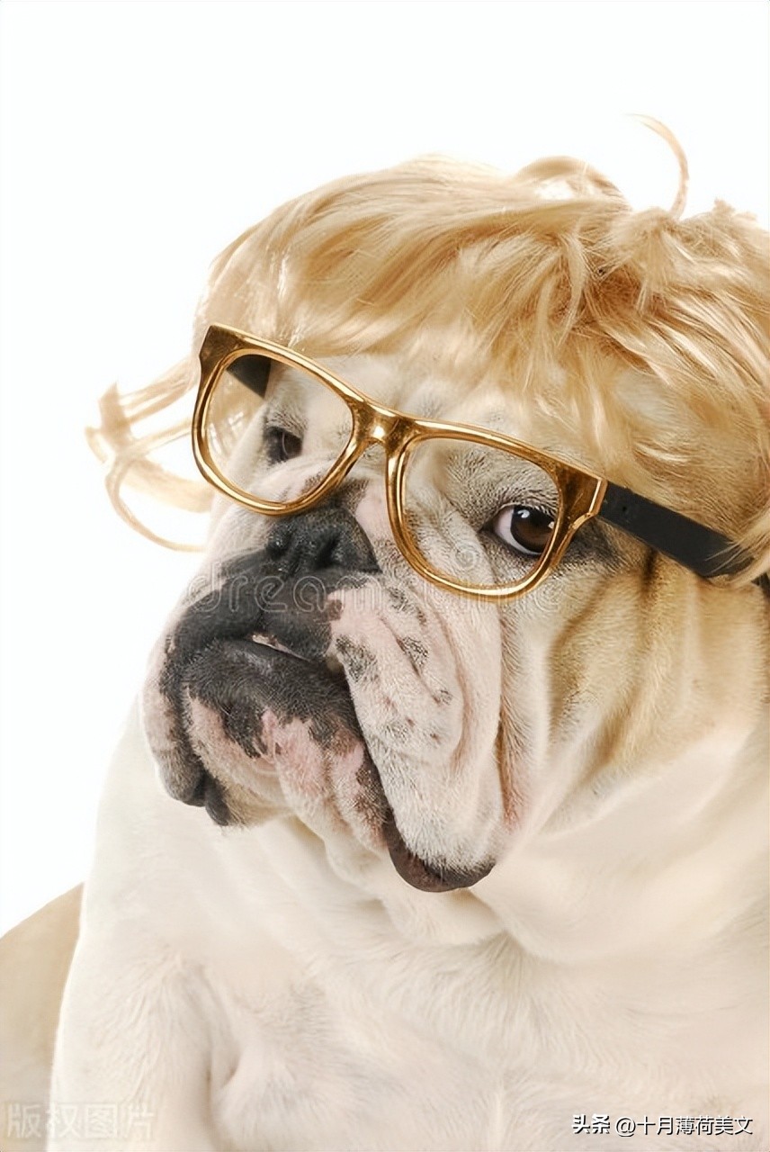 发朋友圈会被秒赞的有趣文案,做饭文案吸引人秒赞