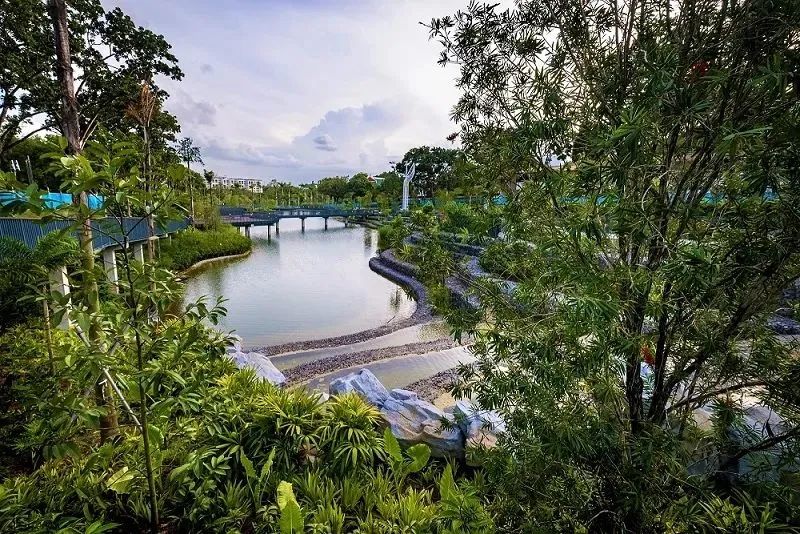 新加坡遛娃免费景点推荐一下,新加坡周末遛娃