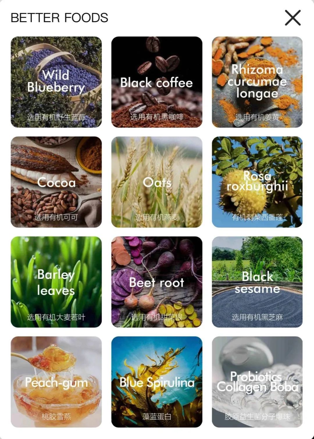 喜茶加入“降价群聊”，高端酸奶离降价还会远吗？