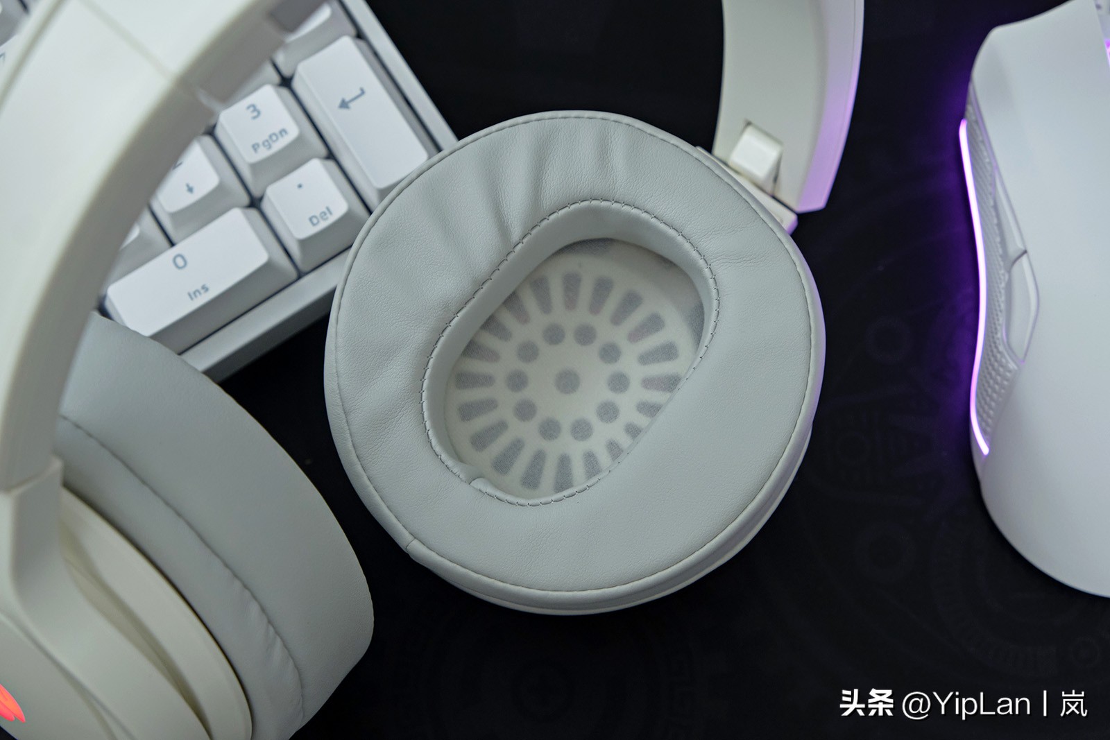 cherry澶栬鎺ㄨ崘,cherry澶栬鍜嬫牱