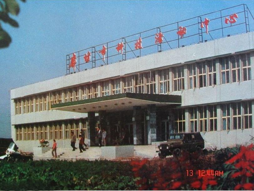 廊坊老照片里的廊坊,曾经的河北廊坊老照片