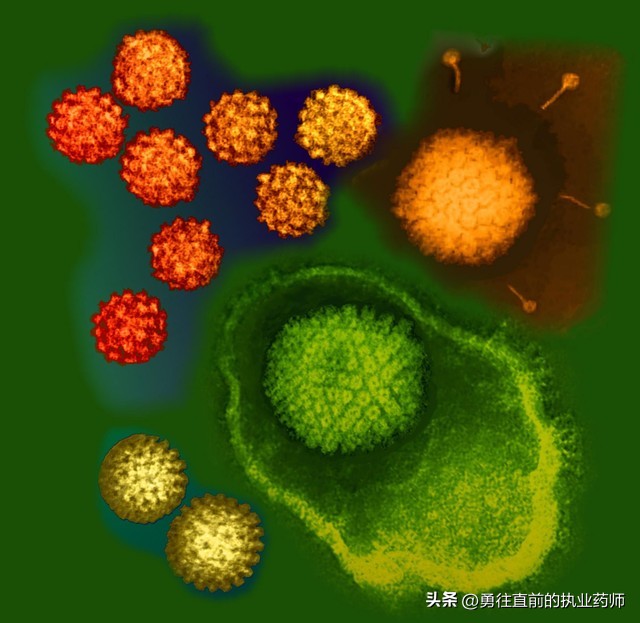 疱疹性咽峡炎中药方,中医治疗疱疹咽峡炎的最佳方法