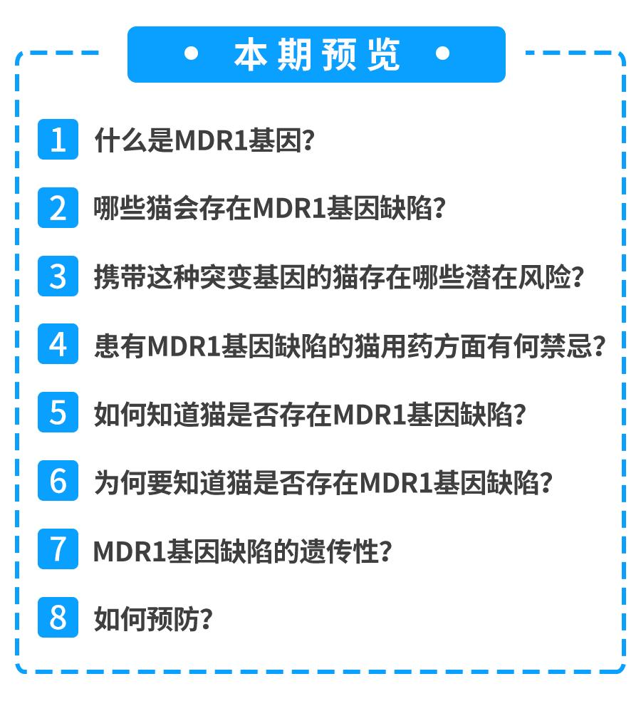 mdr1基因缺失什么意思,mdr1a怎么样