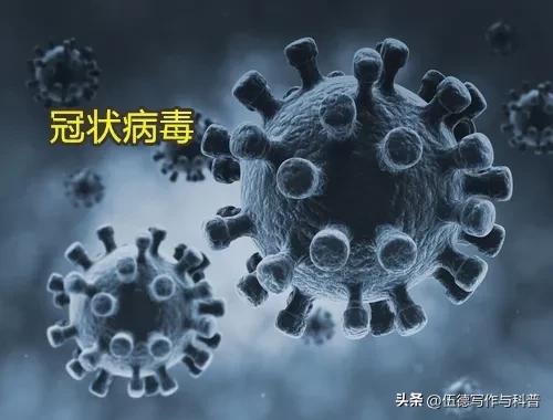 世界杯赛事常出人意料之外，风云莫测世事难料，让人想起…