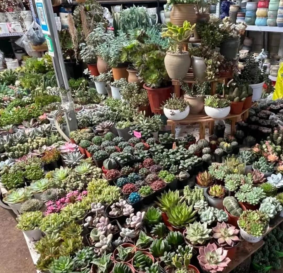 最值得推荐的昆明夜市,昆明必打卡的夜市小吃街