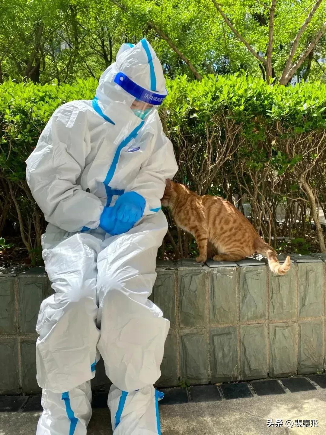 死亡病例存在的问题及整改措施,死亡病例存在问题及整改措施