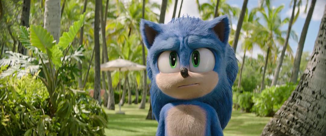 刺猬索尼克和闪电侠比速度,刺猬索尼克和闪电侠赛跑全程