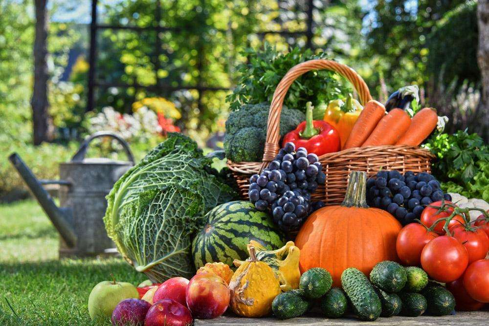 中医治疗胸闷气短的中药处方,一到阴天就胸闷气短中医怎么解释