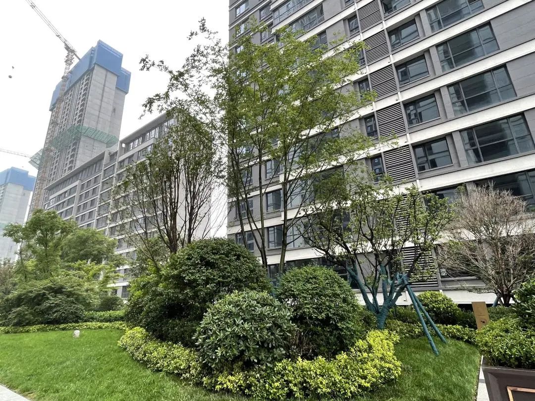 旭辉国宸府延期,房住不炒不等于房价不涨