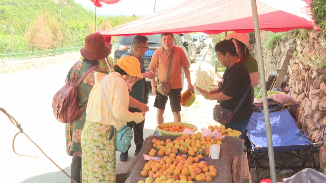 上寨村打造乡村振兴样板,鹿泉区南寨振兴农旅数字产业园