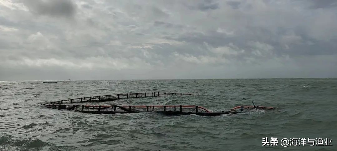 深水网箱养殖怎么选择海域,台风暹芭对沿海养殖有什么影响