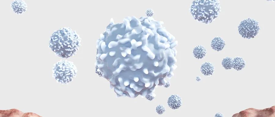 免疫治疗需要评估pdl1吗,肿瘤的免疫治疗有哪几种