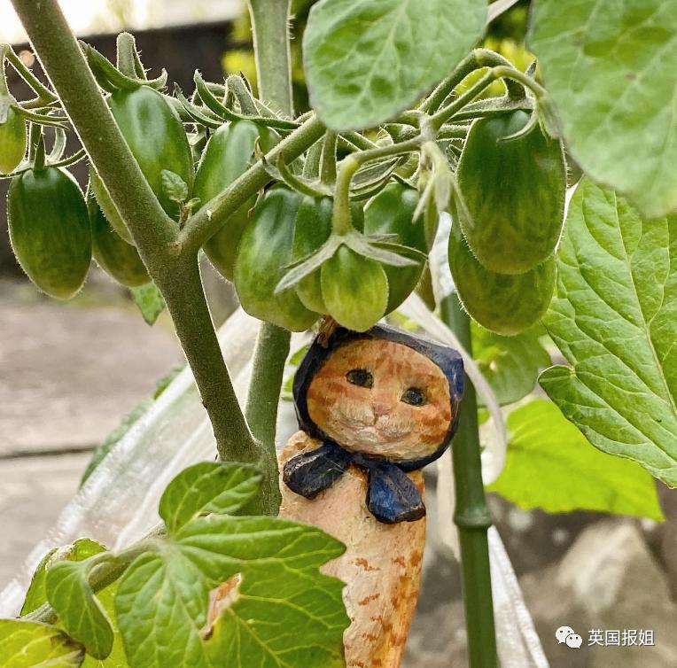 木头雕刻作品猫,手工雕刻木雕小猫