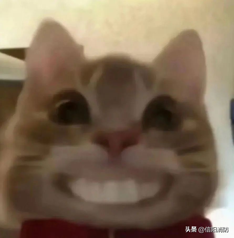 手机掉进粪坑里迅速捡起有影响吗,手机掉进粪坑里捞出来还能用吗