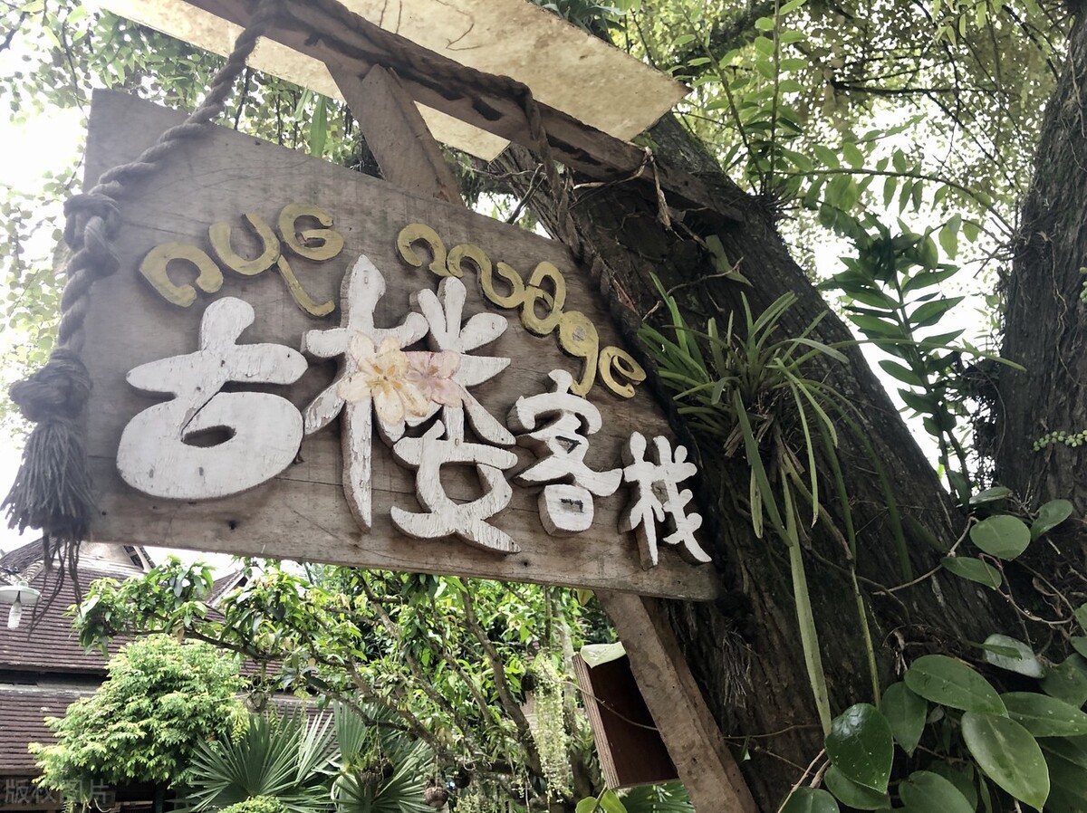 西双版纳避寒避暑的雨林仙境,西双版纳避寒过冬优缺点