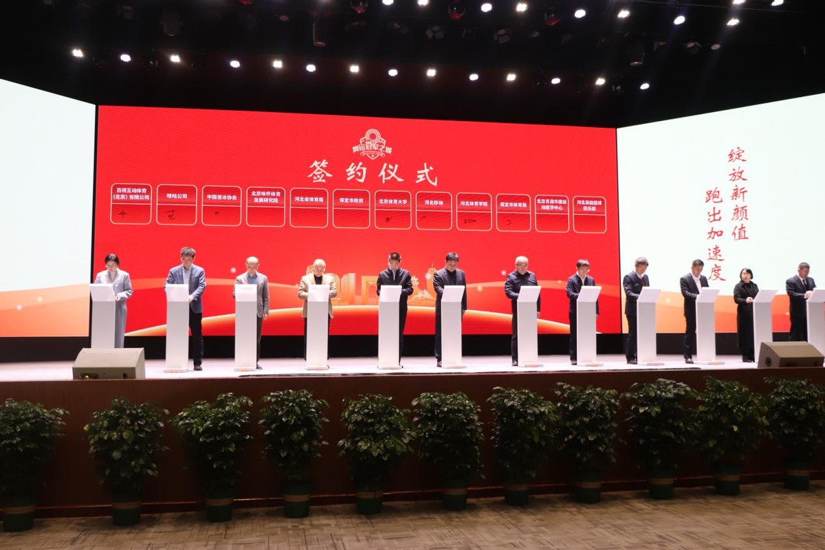 大保定未来发展前景,大发展基建