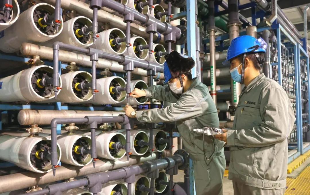 新能源业绩报2024,2023年新能源厂家的盈利