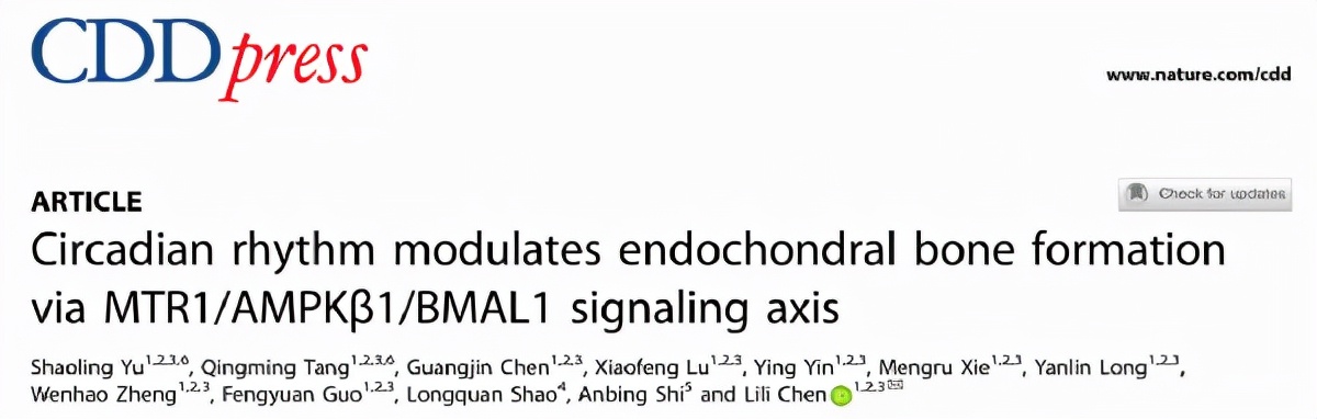 骨关节炎的研究,骨肿瘤课题