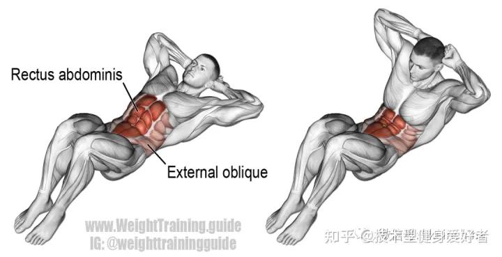 学会3个健身方法一个月练出肌肉,新手健身怎么练基础肌肉动作