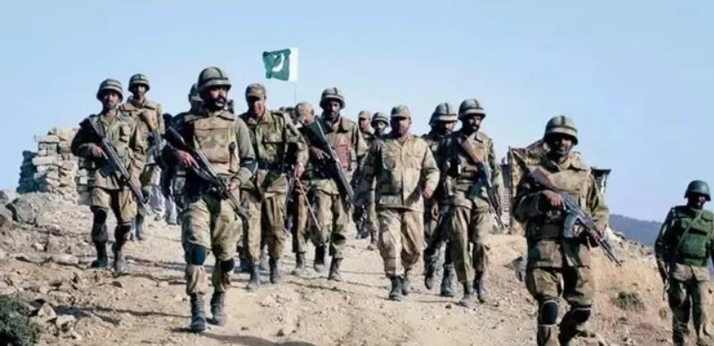 中国巴铁现状,巴铁中国物资最新消息