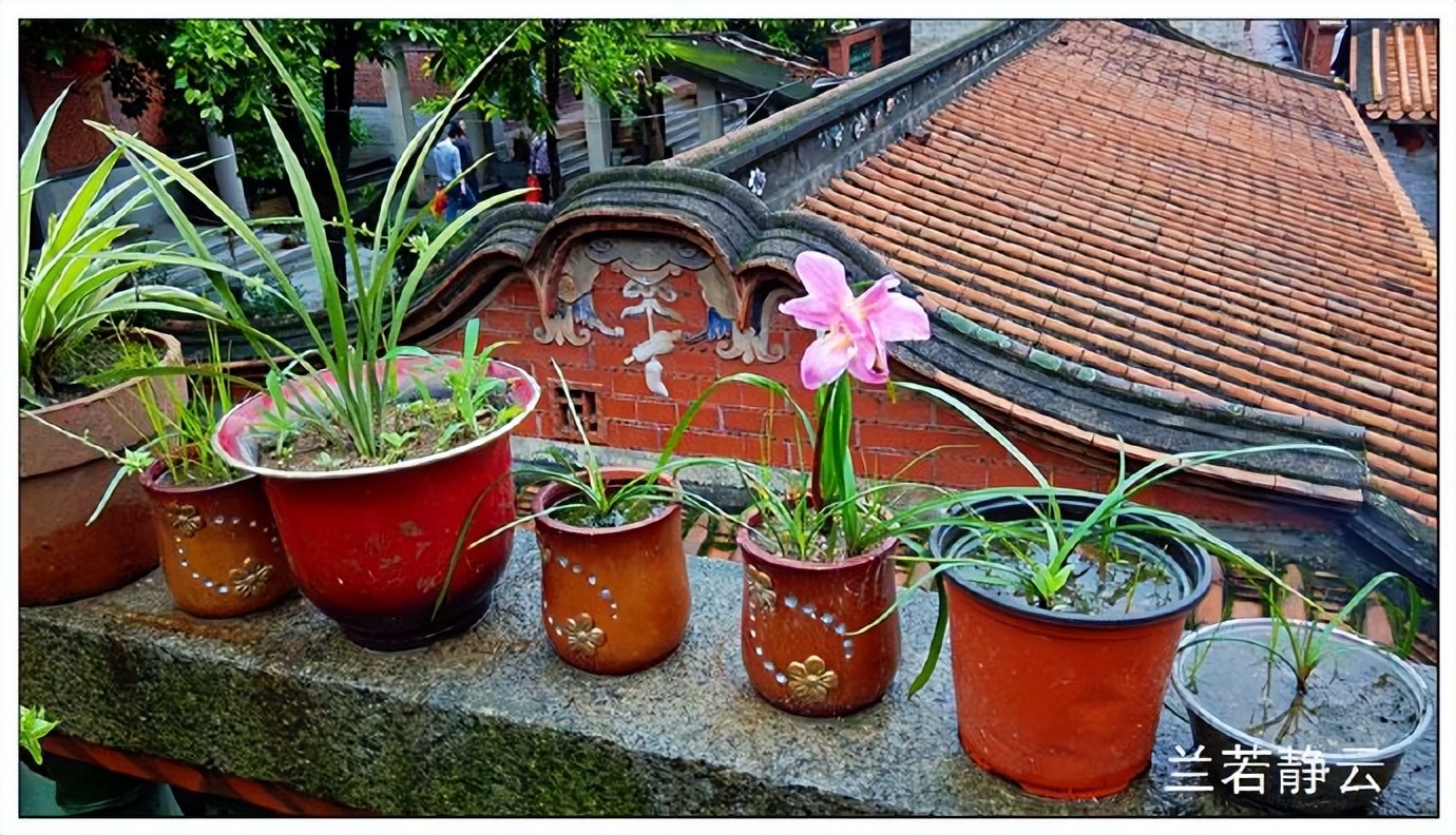 惠安科山寺风景区,惠安聚龙山森林公园