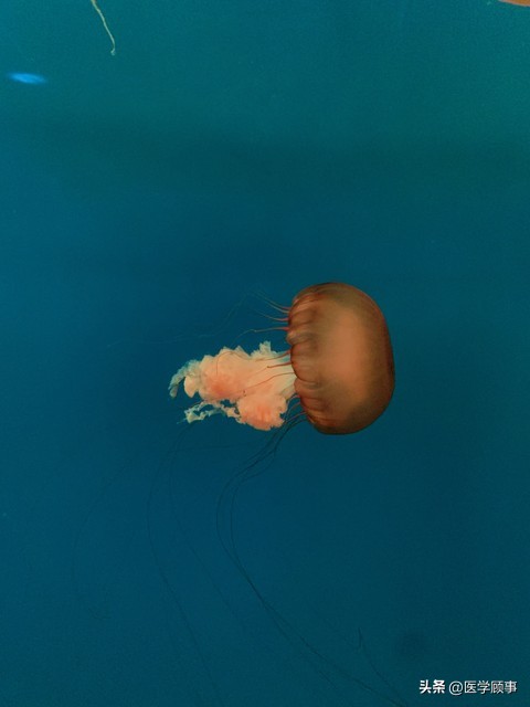 杨绛先生说干嘛要生气,杨绛先生的与人相处之道