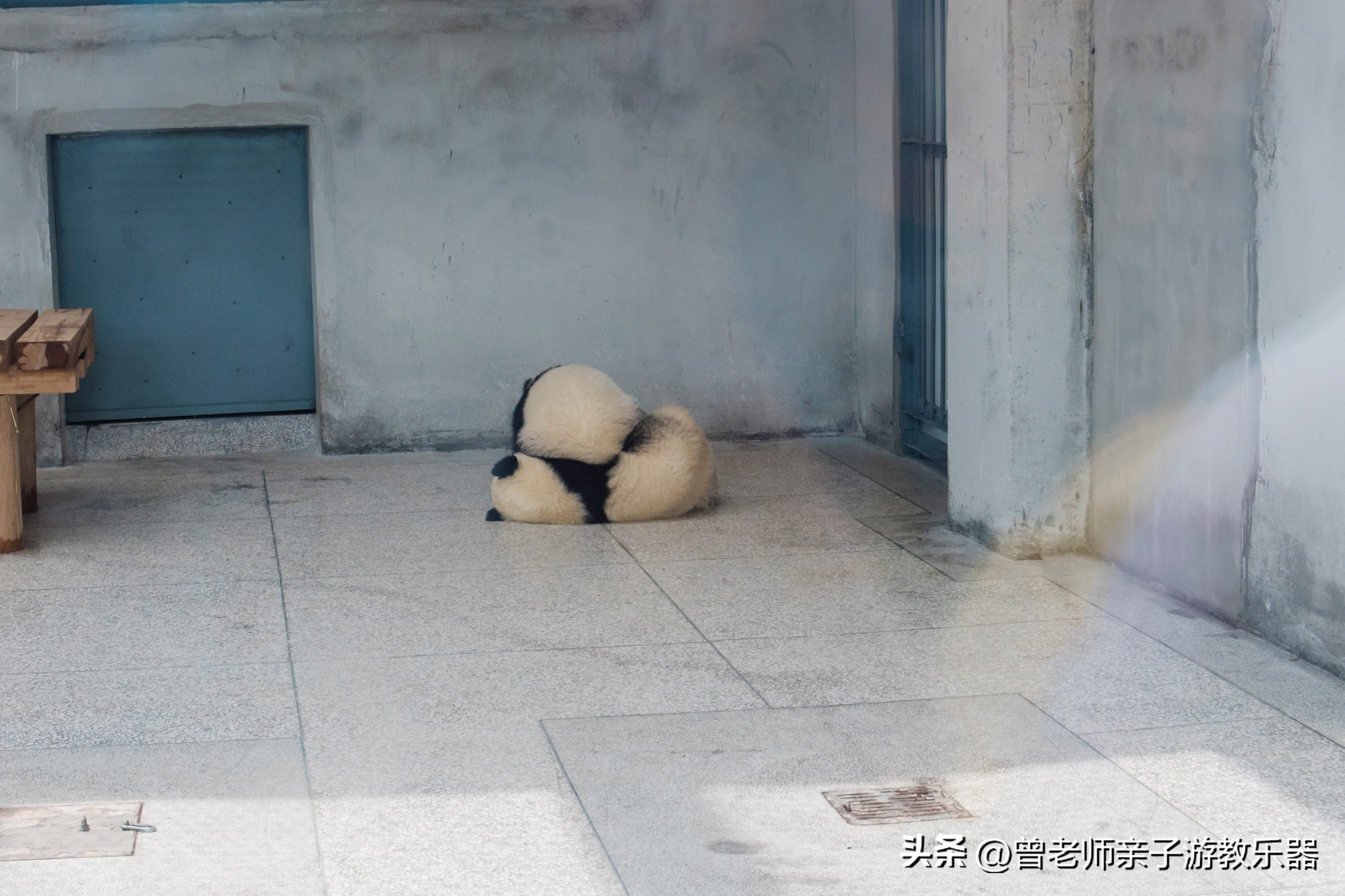 西安出发自驾亲子游,西安亲子游十大排名