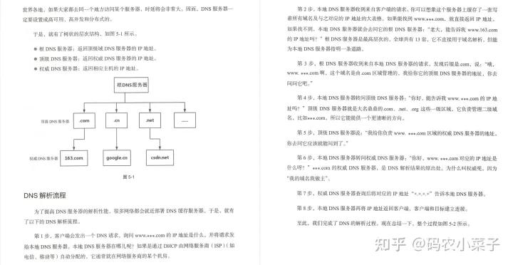 网络协议从入门到精通 (网络协议入门到精通)