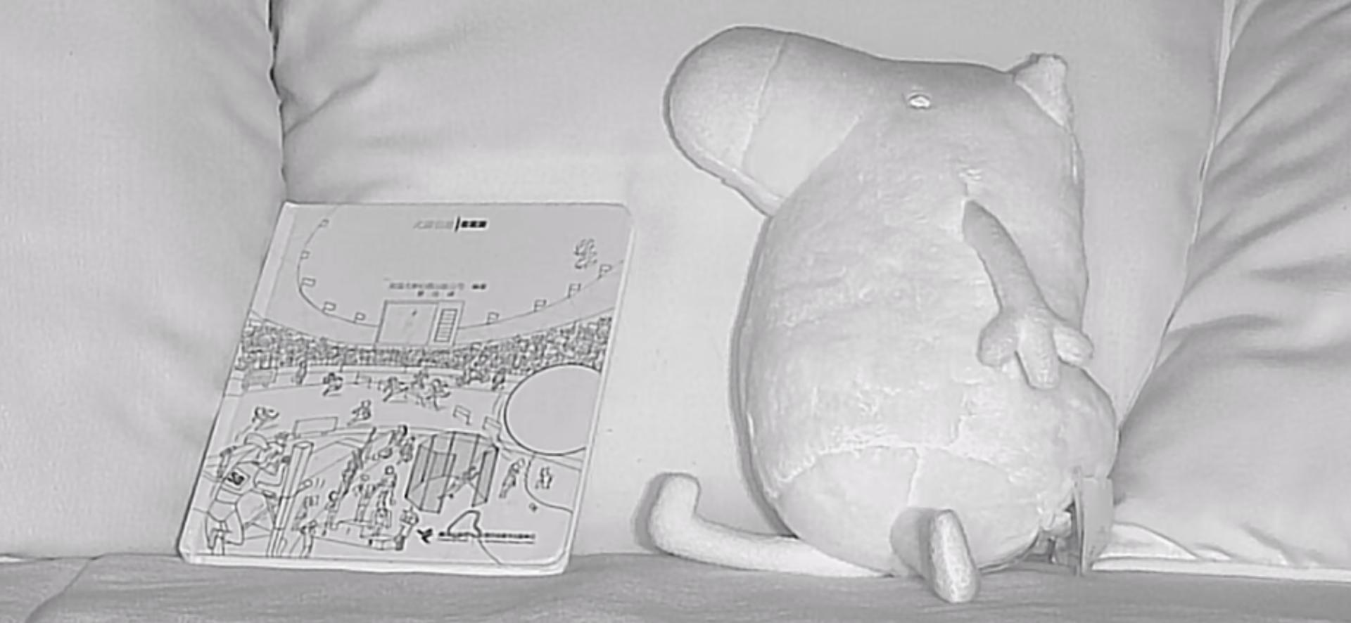 最新家用摄像头功能介绍,家用摄像头安全性排名