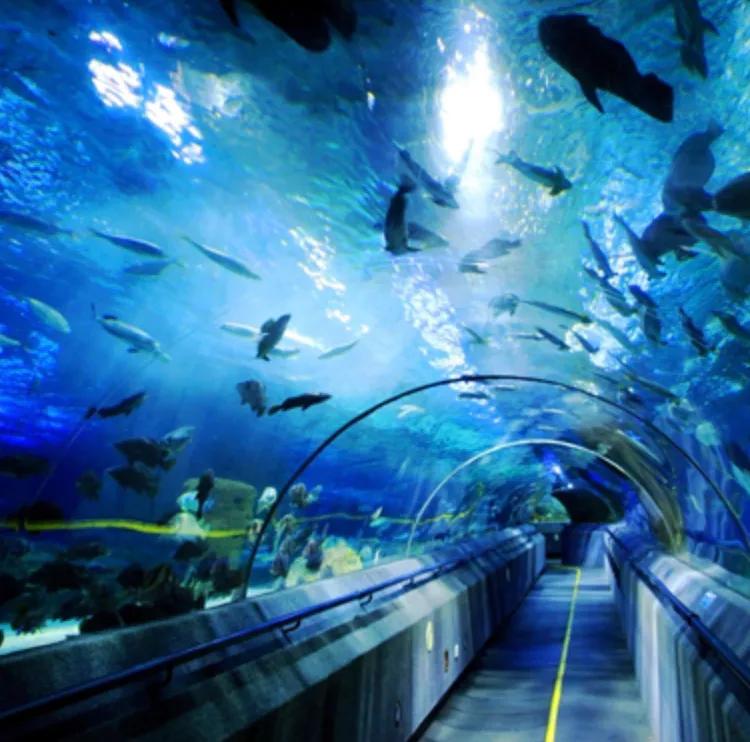 大连旅游团,大连旅游住宿攻略