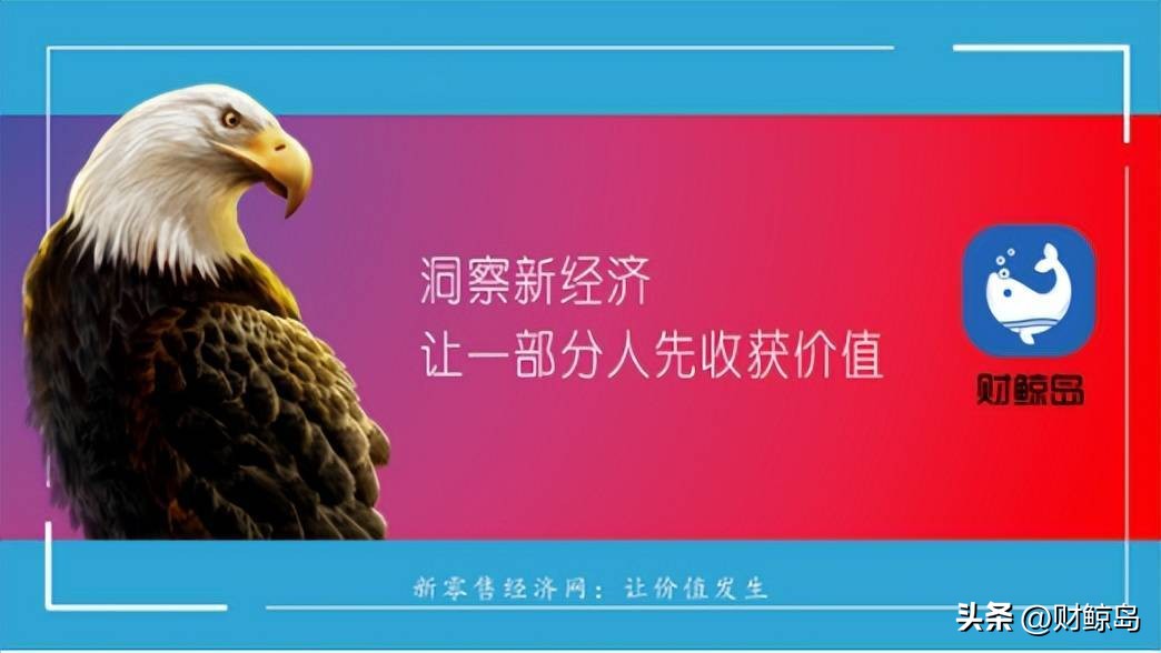 聂风做出了什么贡献,聂风成功最重要的因素