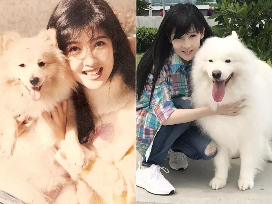 冻龄女神香港,香港50多岁冻龄女星