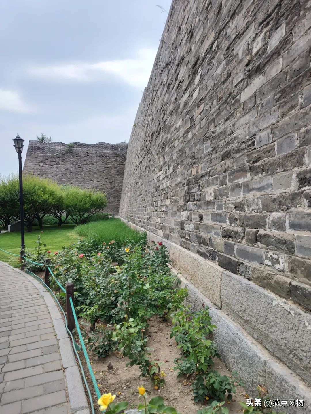 又到一年花开时下半句,又到一年花开时朗诵