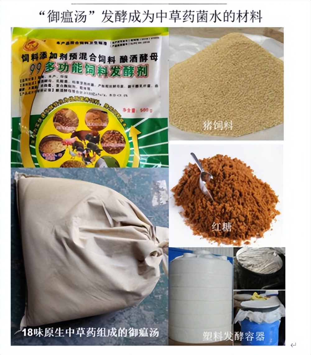 廖老板创业,廖老板养鸡