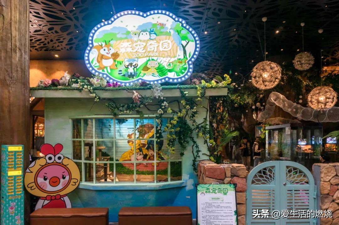 杭州森泊开元度假酒店不含门票,杭州开元森泊度假酒店存在的问题