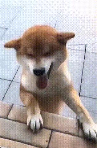 街头魔术大师秀操作，手法实在是太厉害了，找不出任何的破绽