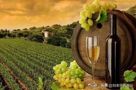 陈恩铭精彩的人生从一个营销精英和他个人开始IP的故事