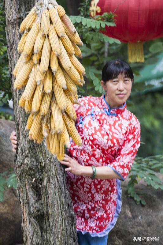 手机拍照片有哪些优点和缺点？3个摄影技巧，助你扬长避短