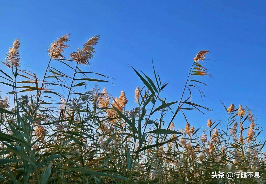 含有人生如梦诗句,人生如梦的诗词句句精辟