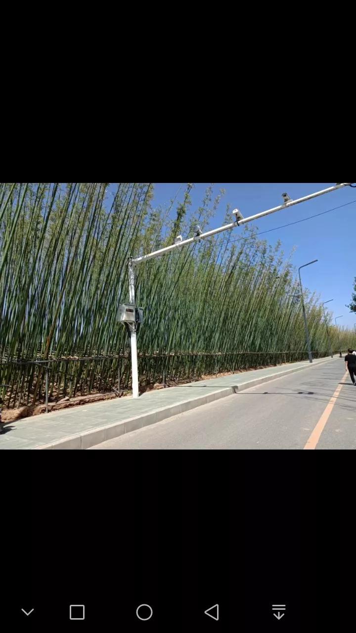 中国唐苑门票多少钱,中国唐苑怎样预约免费门票