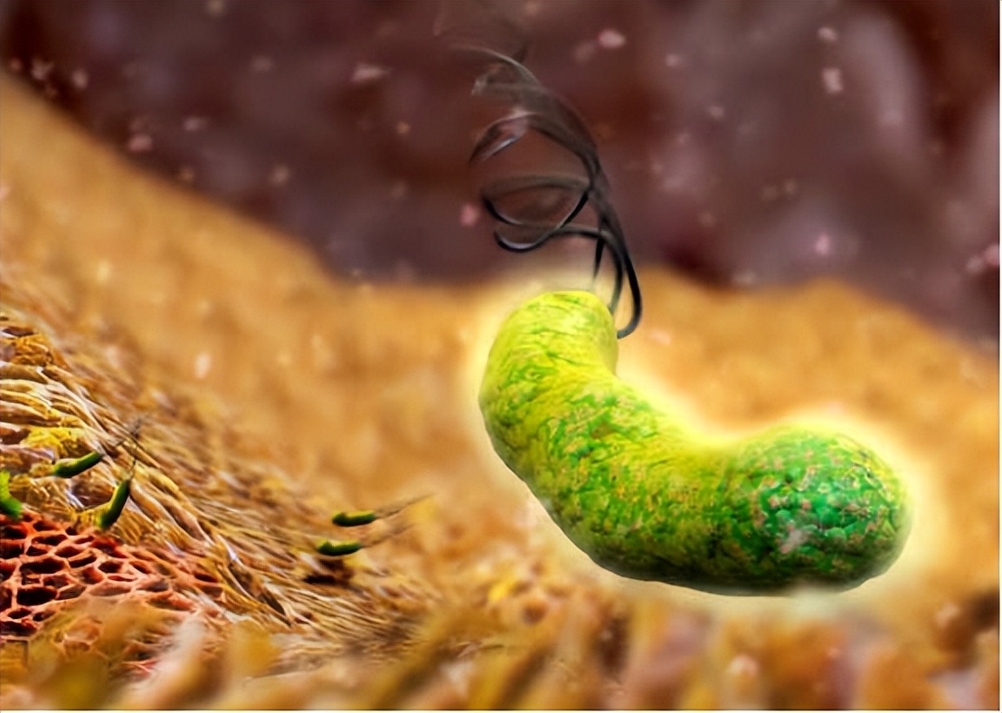 甲硝唑药治哪些病,甲硝唑便宜又好用能摆平4种病