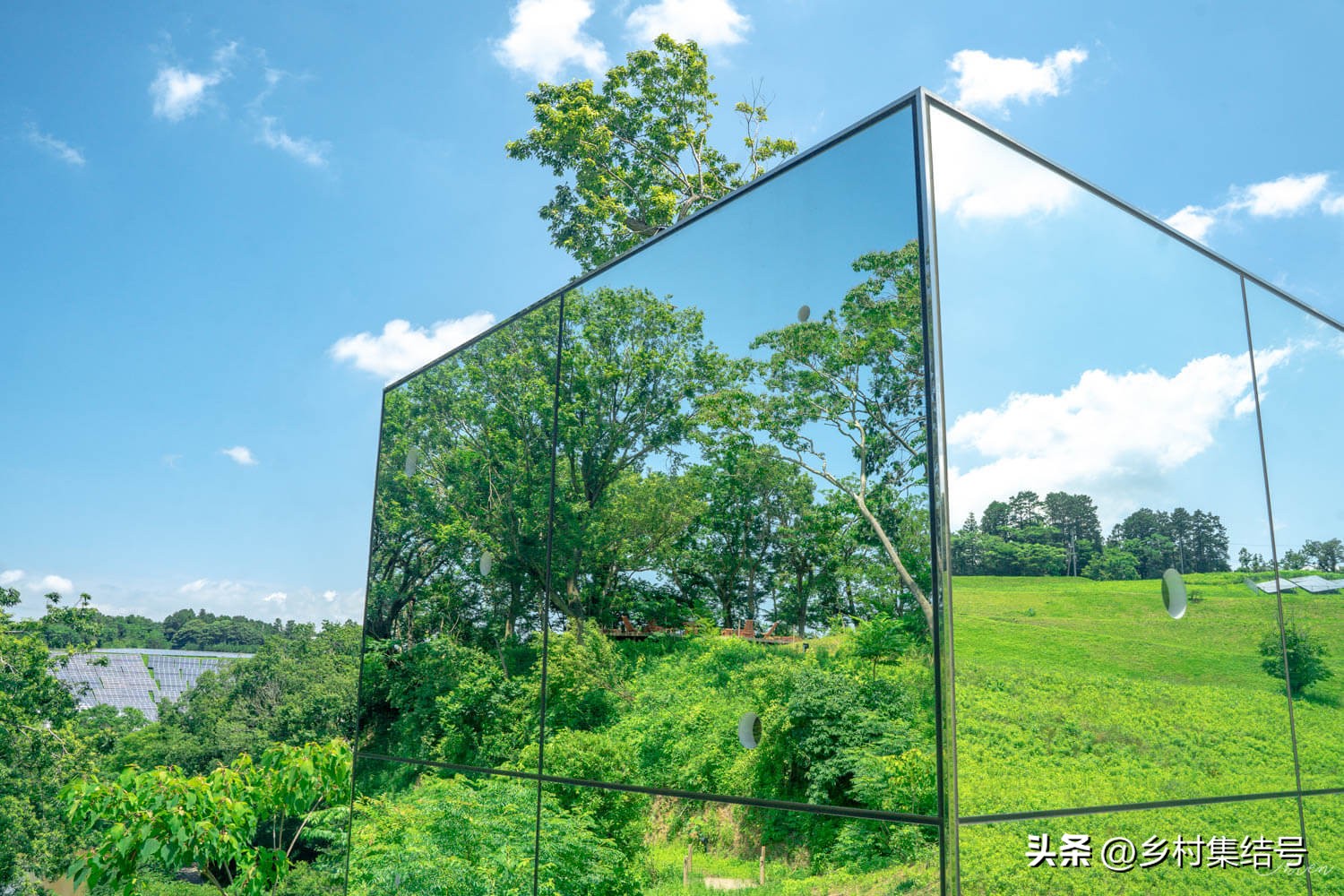 日本农业大县探寻乡村振兴新路,日本家庭农场农业模式