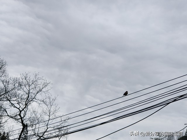 胎教唐诗小故事,唐诗三百首胎教故事